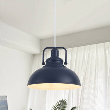 Duomo industrial pendant ceiling light hotsell